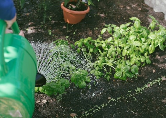 Cultivate Your Garden: Explore Our Garden Ideas for Vegetables